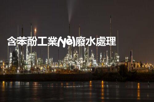 含苯酚工業(yè)廢水處理的創(chuàng)新技術(shù)與以后展望？
